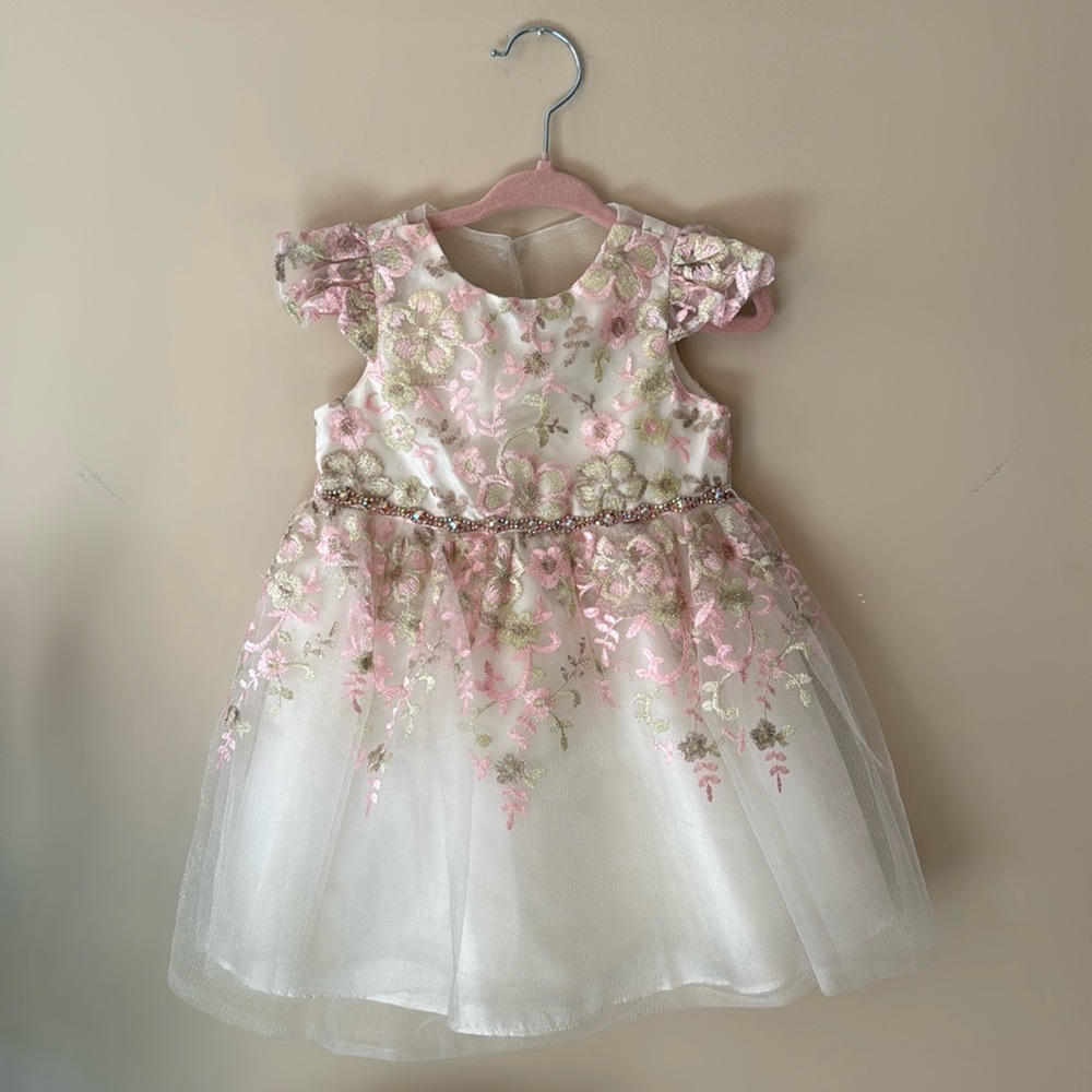 RARE EDITION Embroidered Tulle Dress Size 12 Months